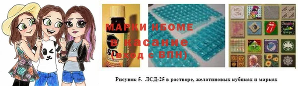 ПСИЛОЦИБИНОВЫЕ ГРИБЫ Няндома