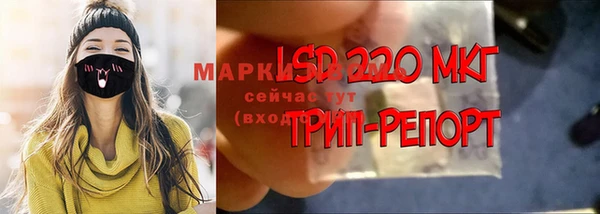 прущие грибы Алексин