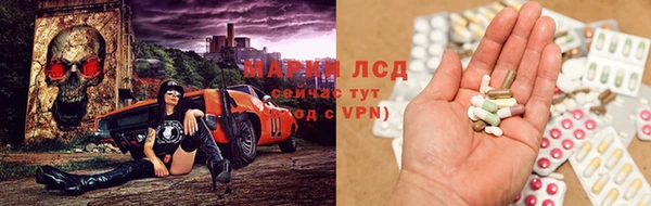 прущие грибы Алексин